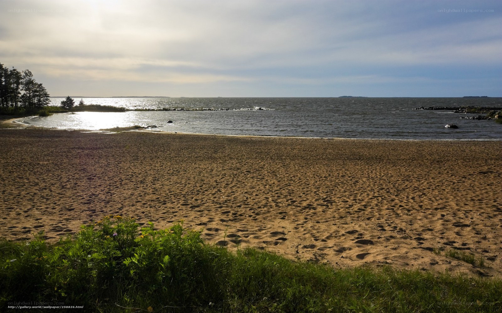 Sandy beach by the sea