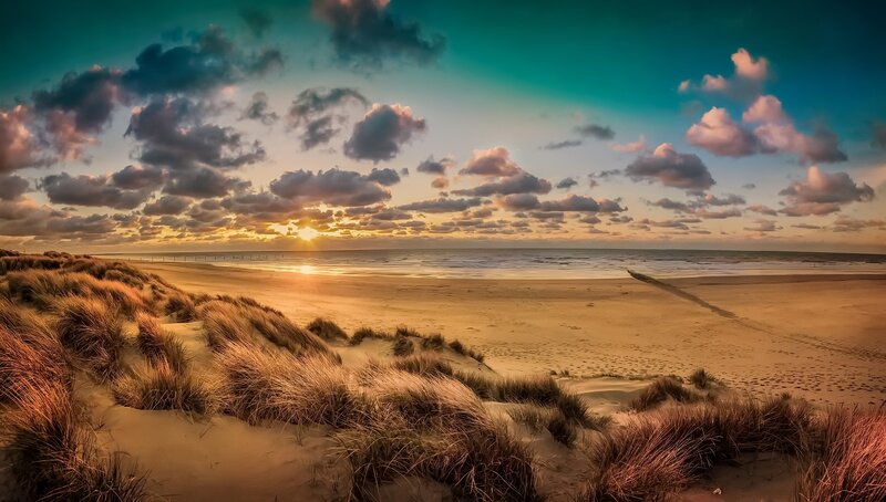 Sandy Beach Dunes