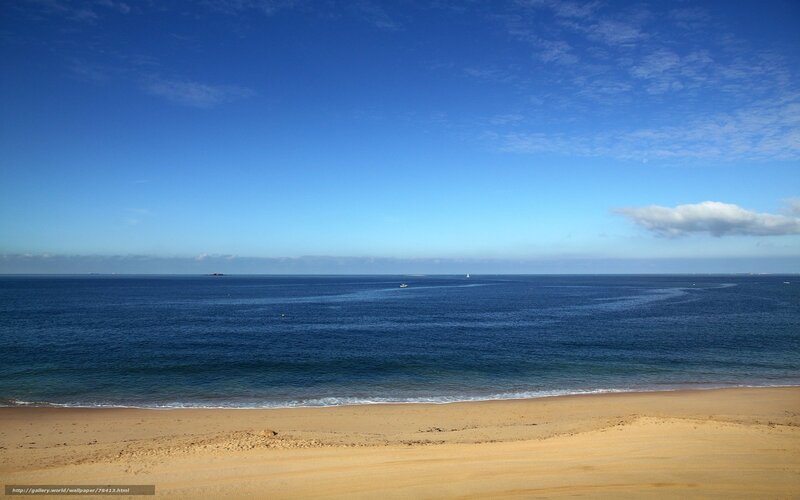 Sandy beach with calm ocean