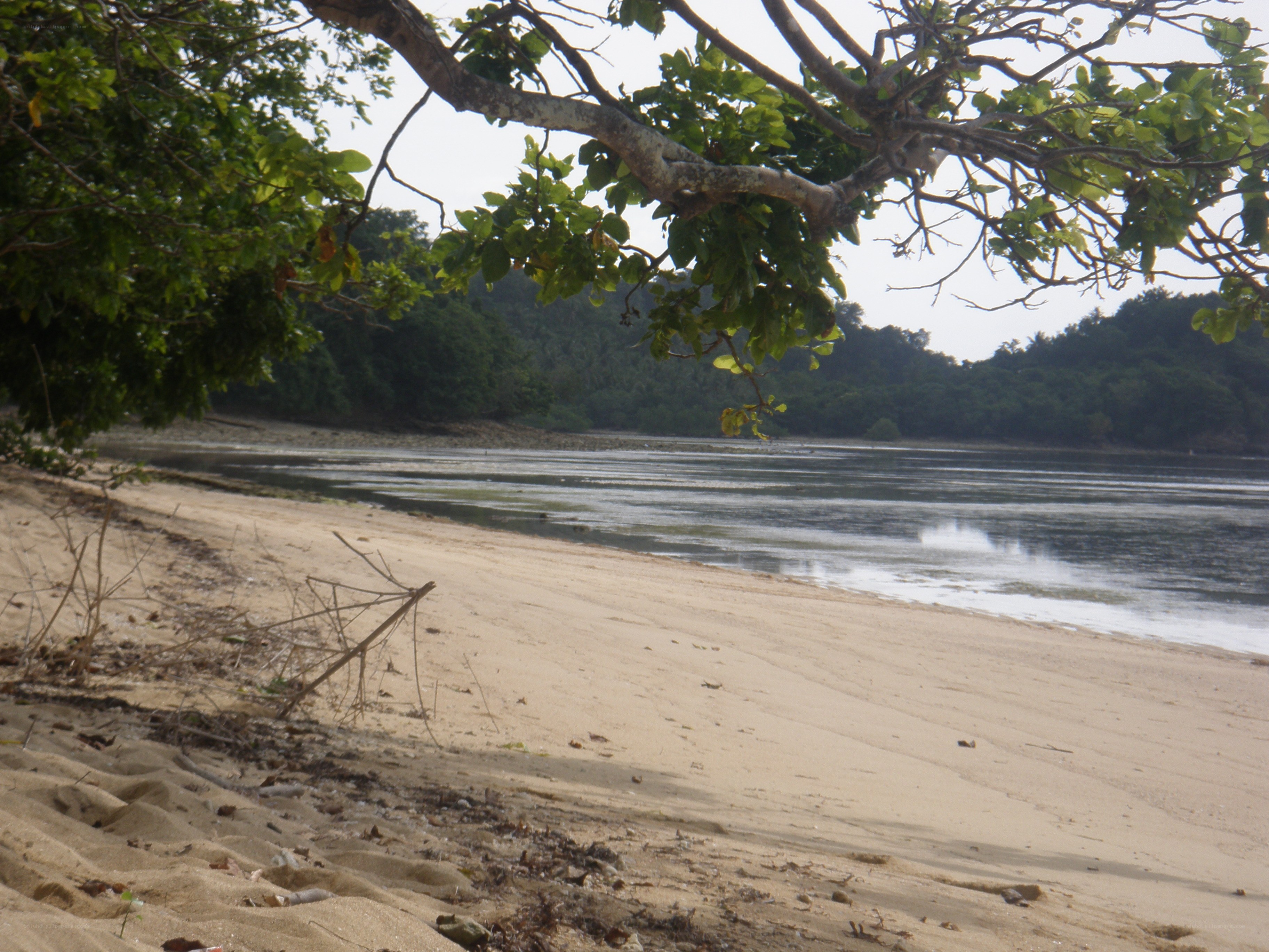 Sandy beach with calm water