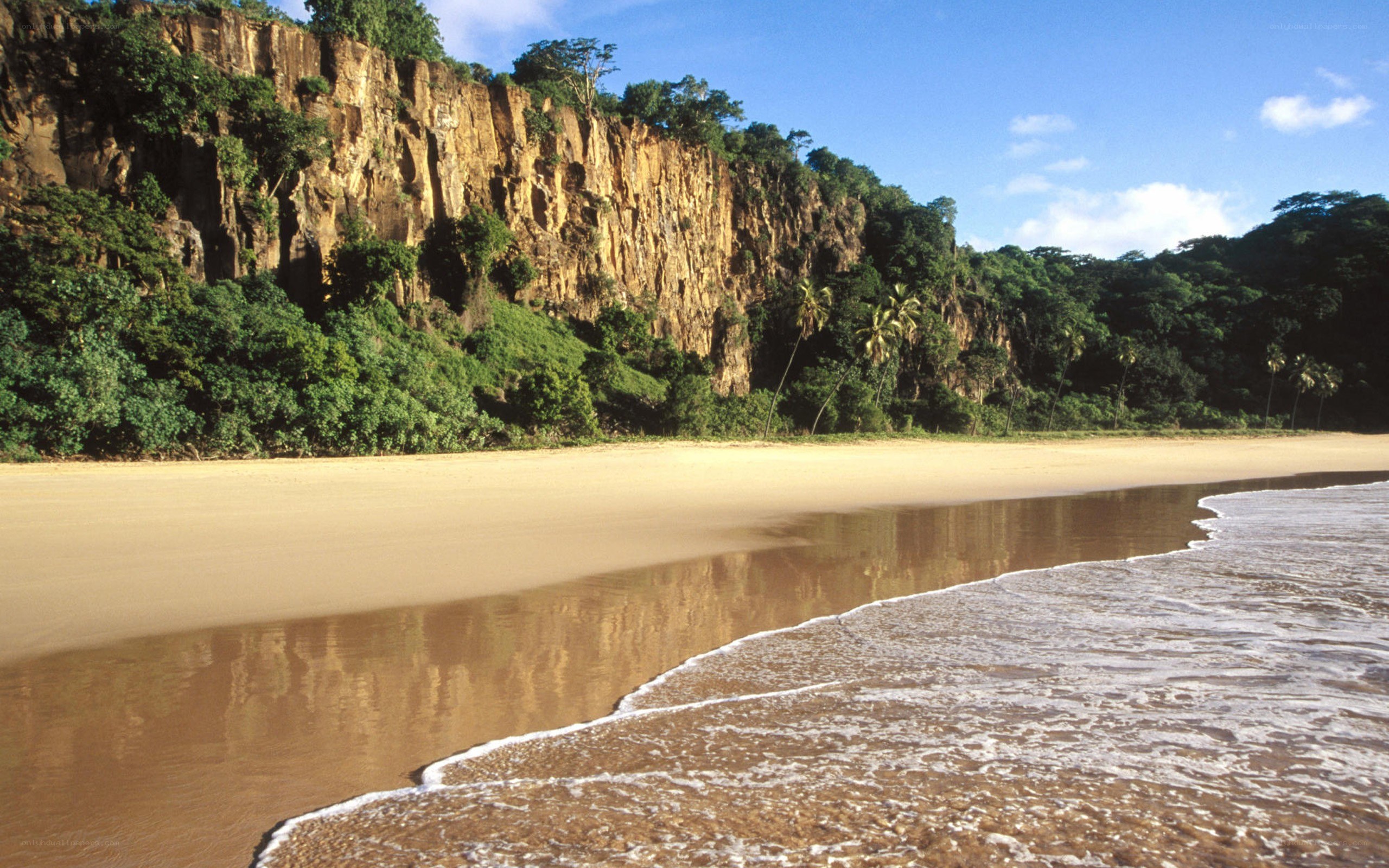 sandy beach with cliffs