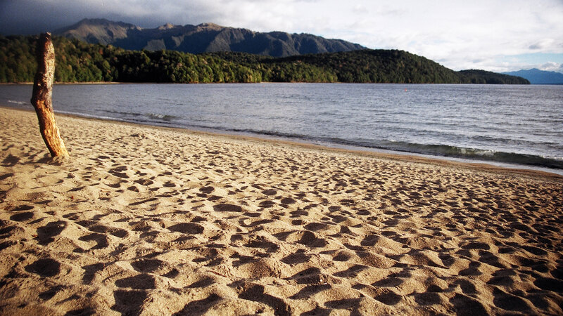 Sandy Beach with Driftwood — Brown