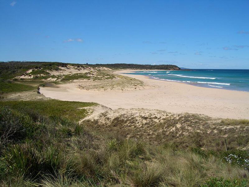 Sandy Beach with Dunes