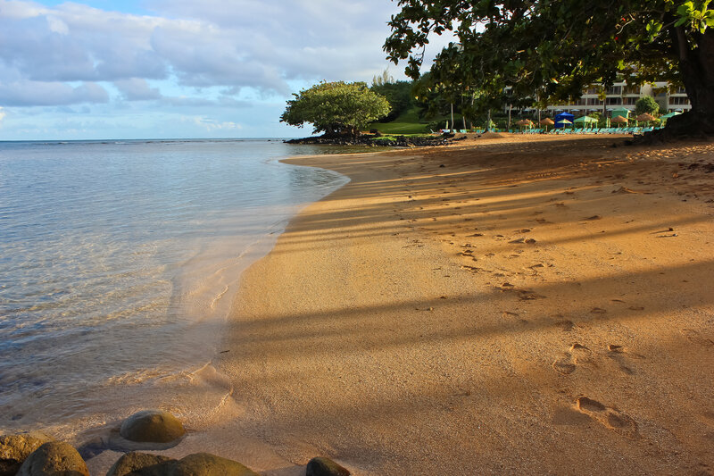 Sandy Beach with Footprints