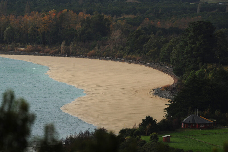 sandy beach with forest backdrop