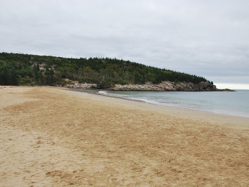 sandy beach with forested hill