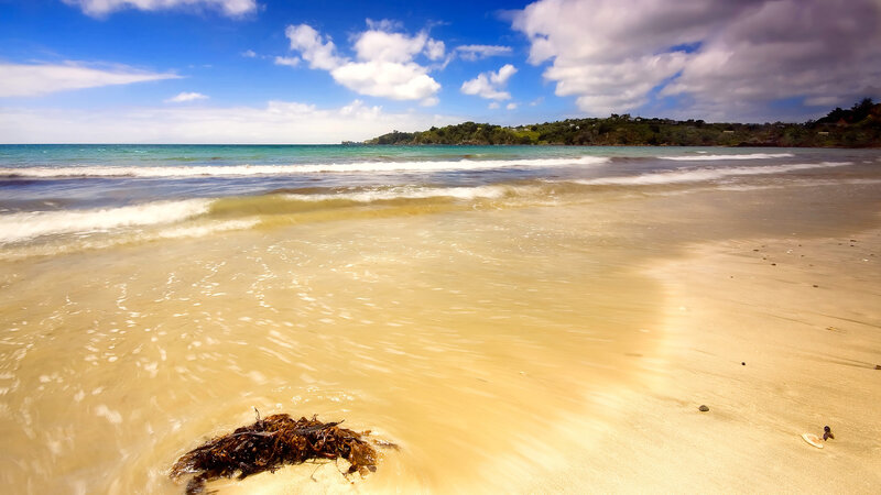 sandy beach with gentle waves
