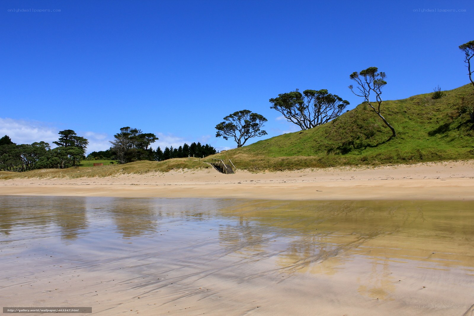 Sandy beach with green dunes