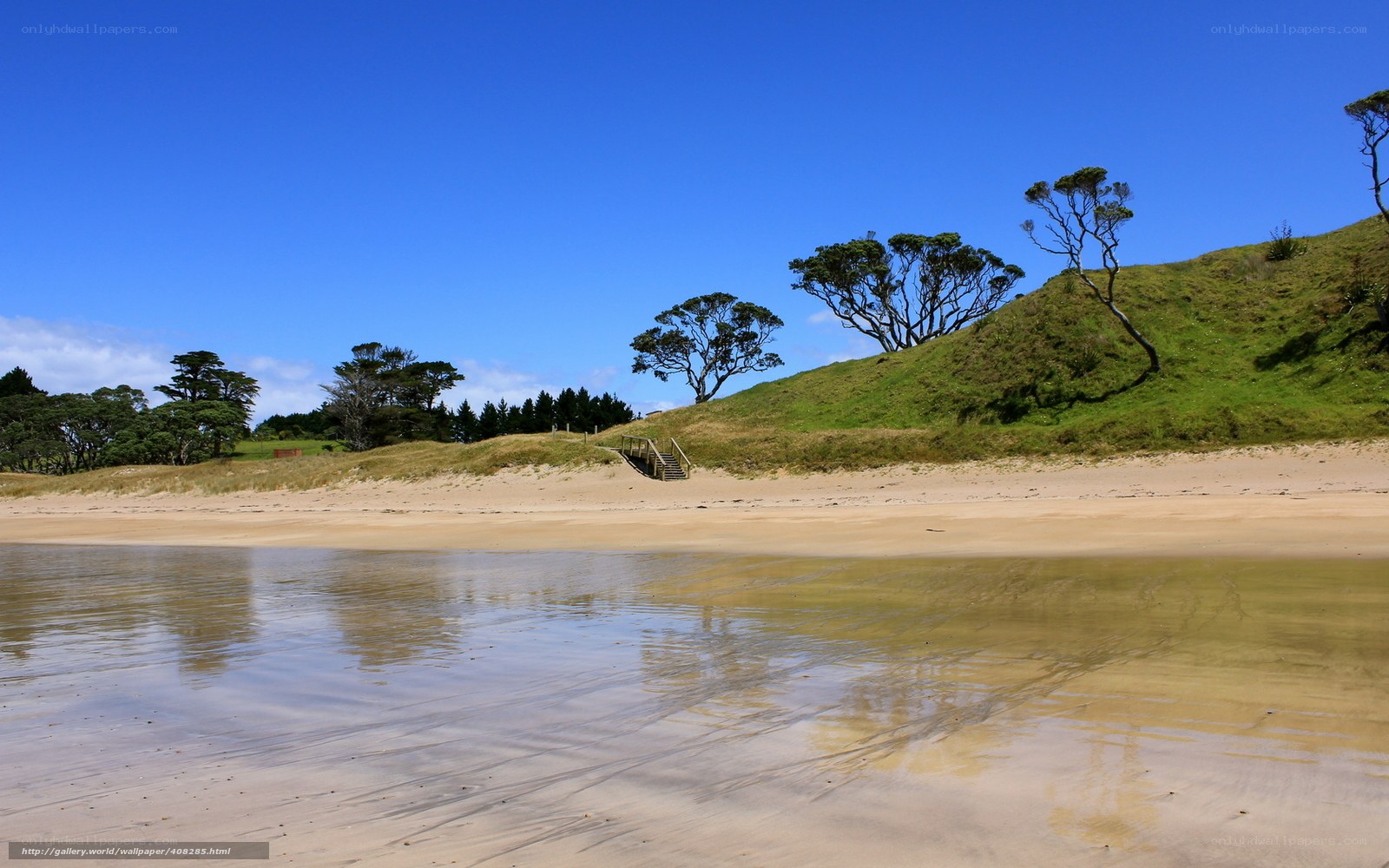 Sandy beach with green dunes