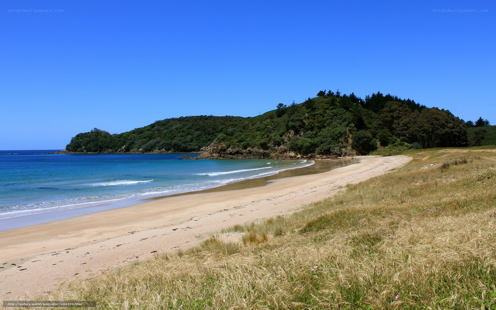 sandy beach with green hills