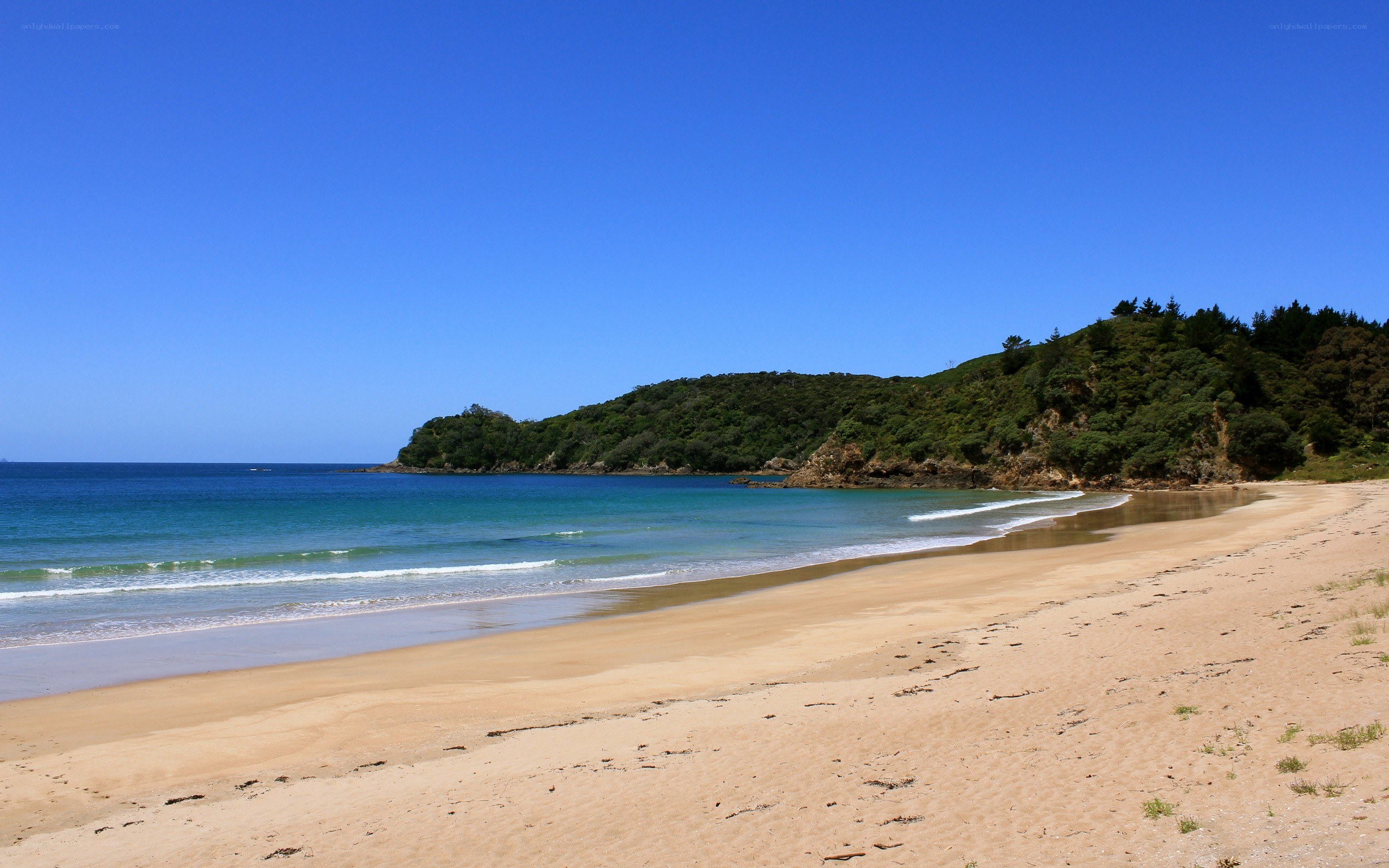 sandy beach with green hills