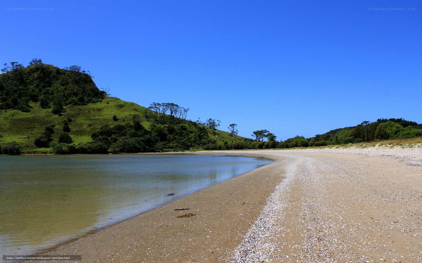Sandy beach with green hills