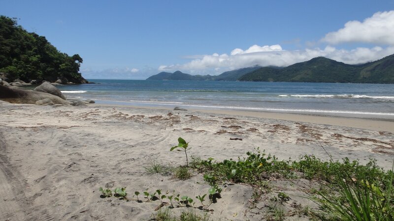 sandy beach with ocean and mountains