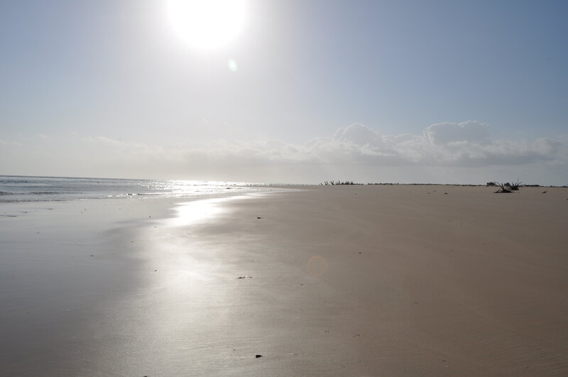 Sandy Beach with Ocean — Beige