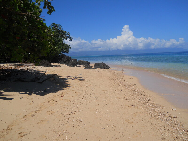Sandy Beach with Ocean