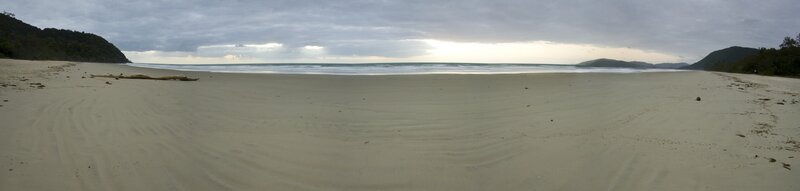 sandy beach with ocean view