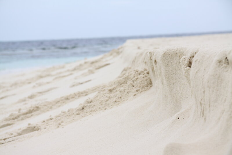 sandy beach with ocean view