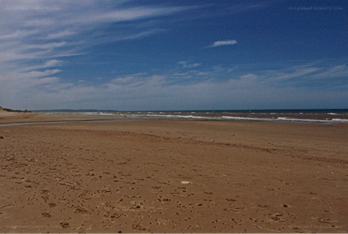 sandy beach with ocean view
