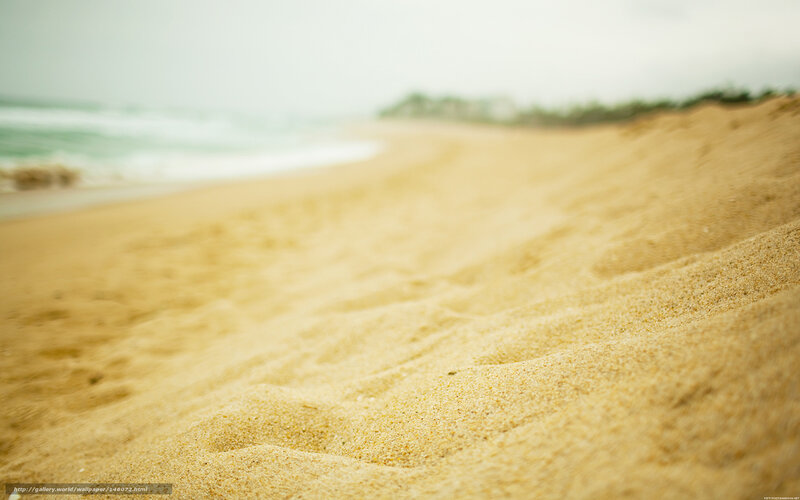 sandy beach with ocean view