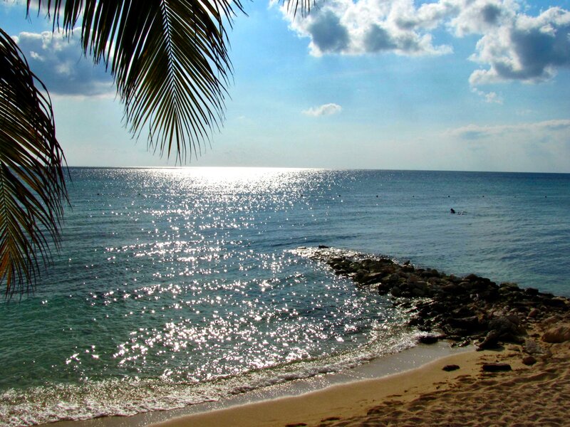 Sandy Beach with Palm Fronds