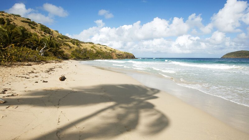 sandy beach with palm shadow