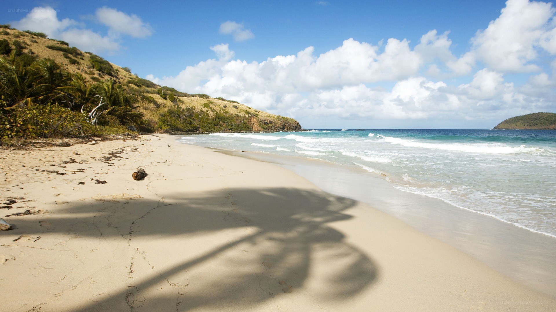 sandy beach with palm shadow