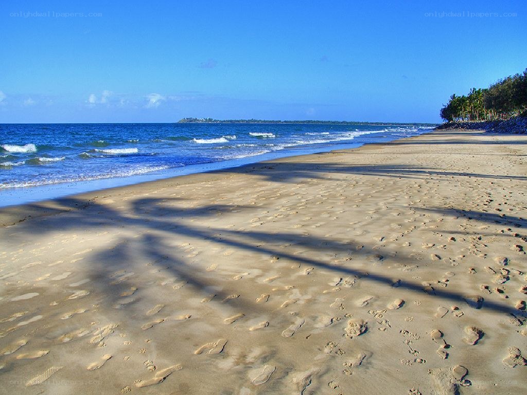 sandy beach with palm shadows