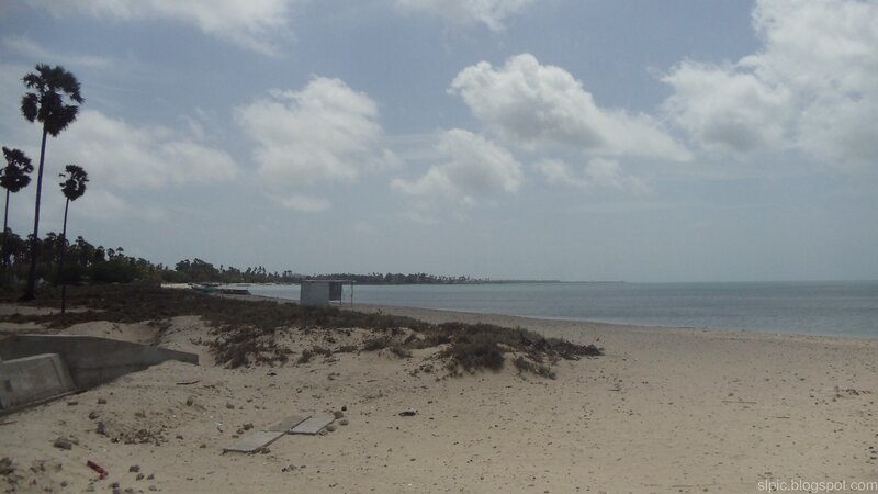 Sandy Beach with Palm Trees — Beige