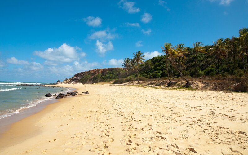 Sandy Beach with Palm Trees — Blue, Serene, Afternoon, Photograph, Ocean, Cliff