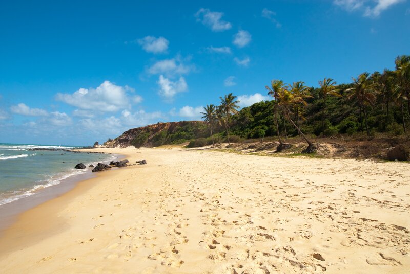 Sandy Beach with Palm Trees — Blue, Serene, Afternoon, Photograph, Ocean, Palm Trees, Cliff