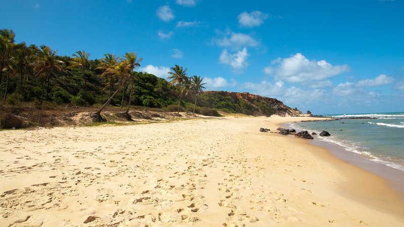 Sandy Beach with Palm Trees — Blue, Serene