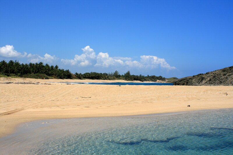 Sandy Beach with Palm Trees — Blue