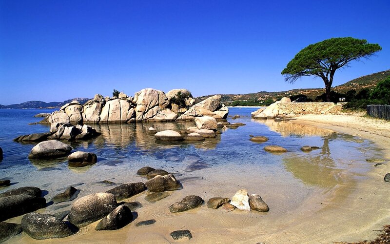 Sandy beach with rocks and tree