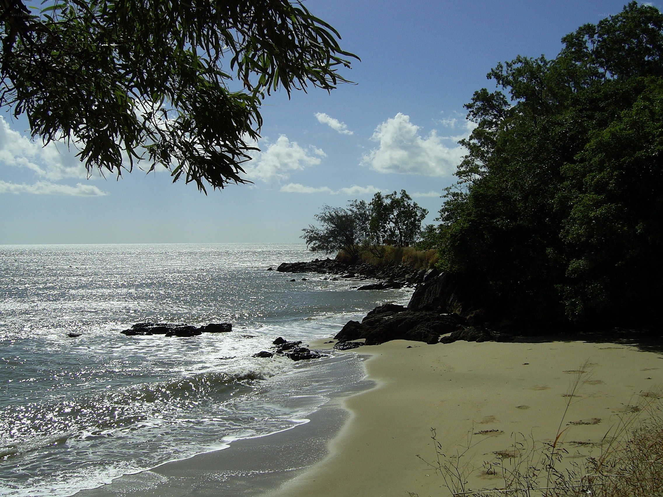 Sandy beach with rocky shore