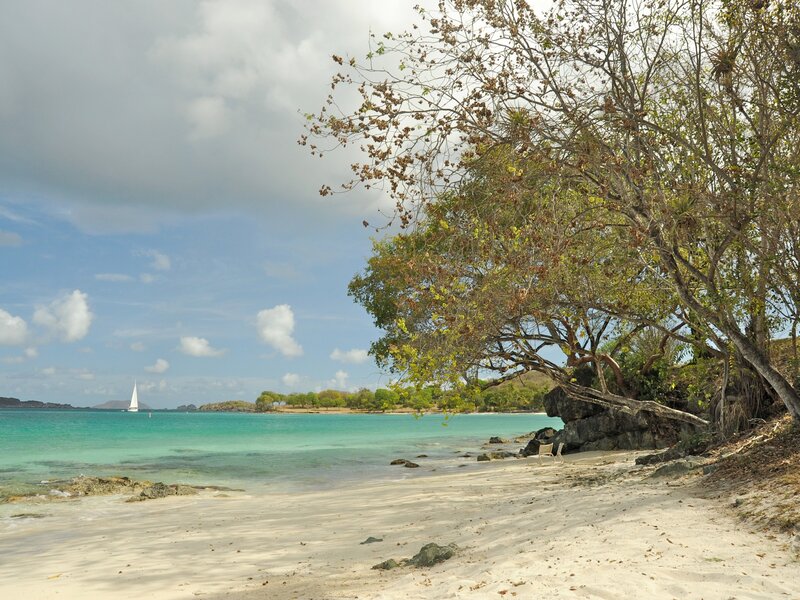 sandy beach with sailboat