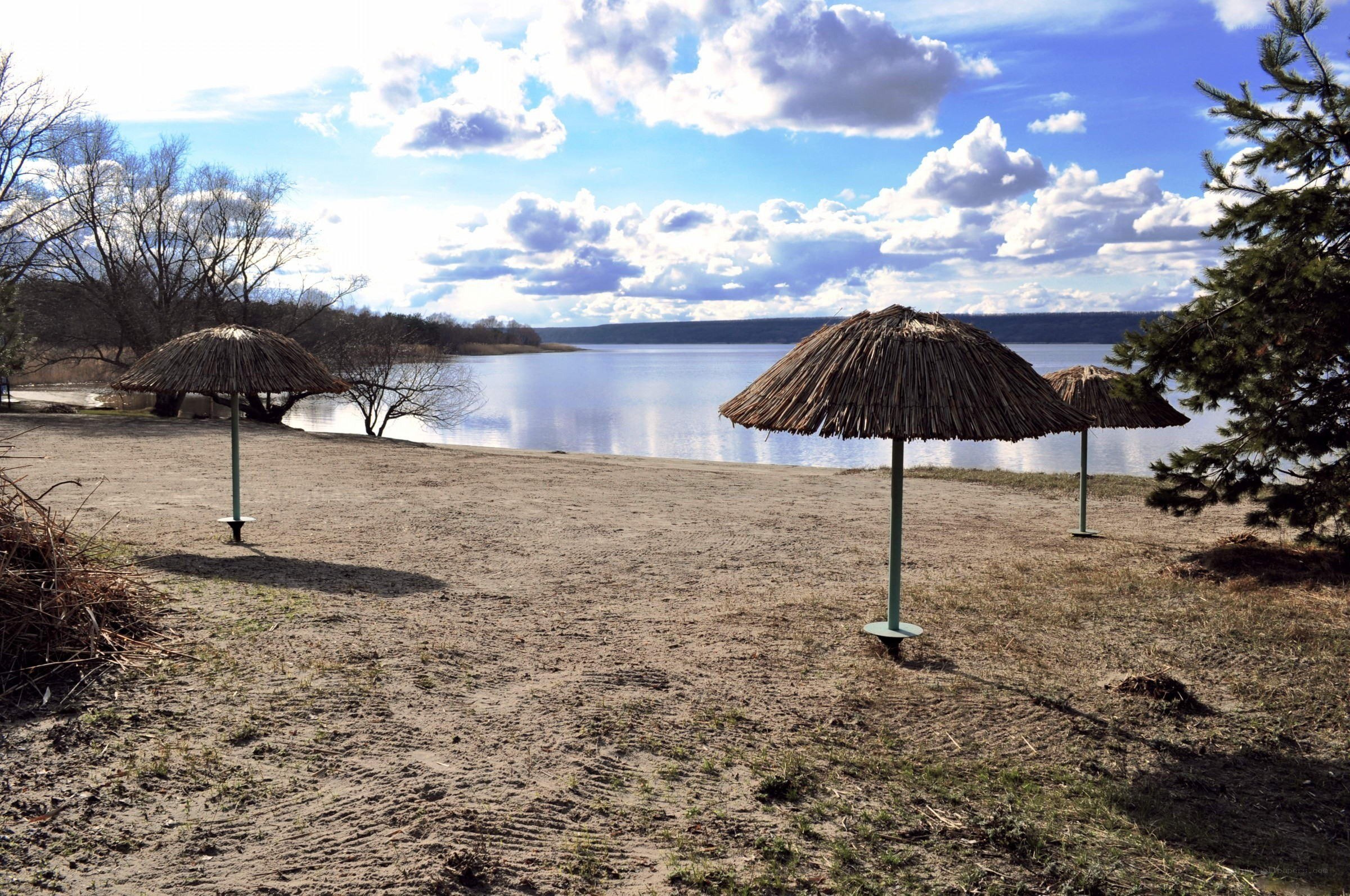 Sandy beach with thatched umbrellas