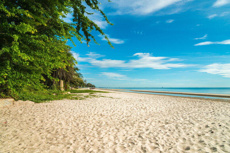 Sandy Beach with Trees