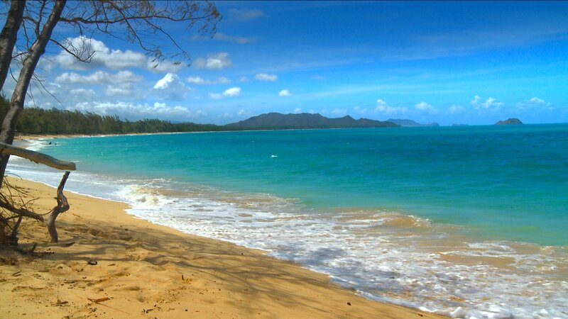 sandy beach with turquoise water