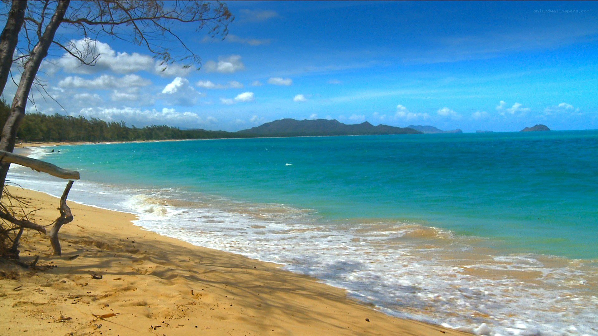 sandy beach with turquoise water