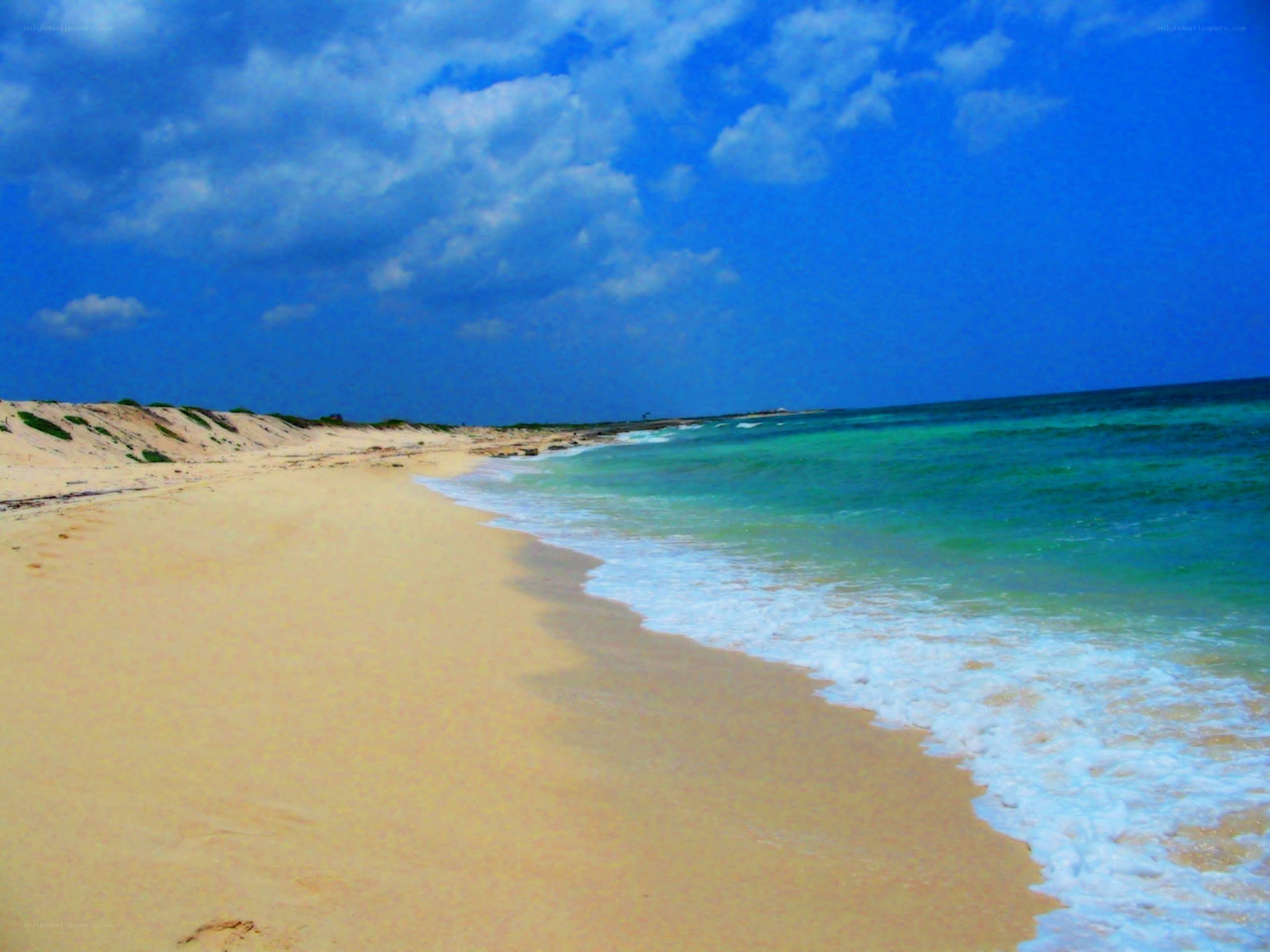 sandy beach with turquoise water