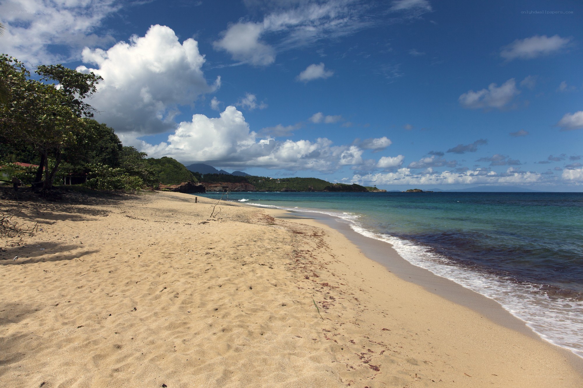 sandy beach with turquoise water