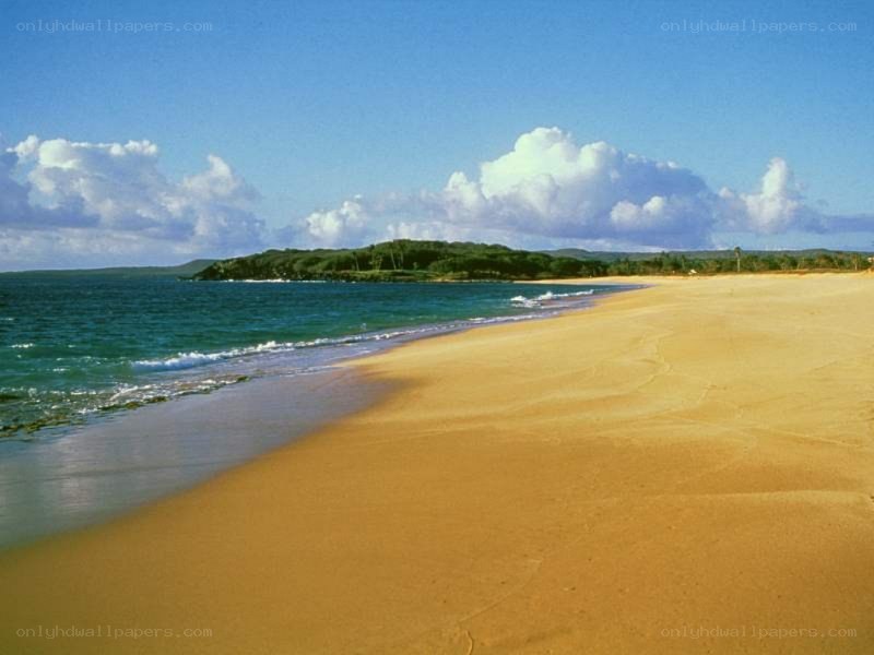 sandy beach with turquoise water