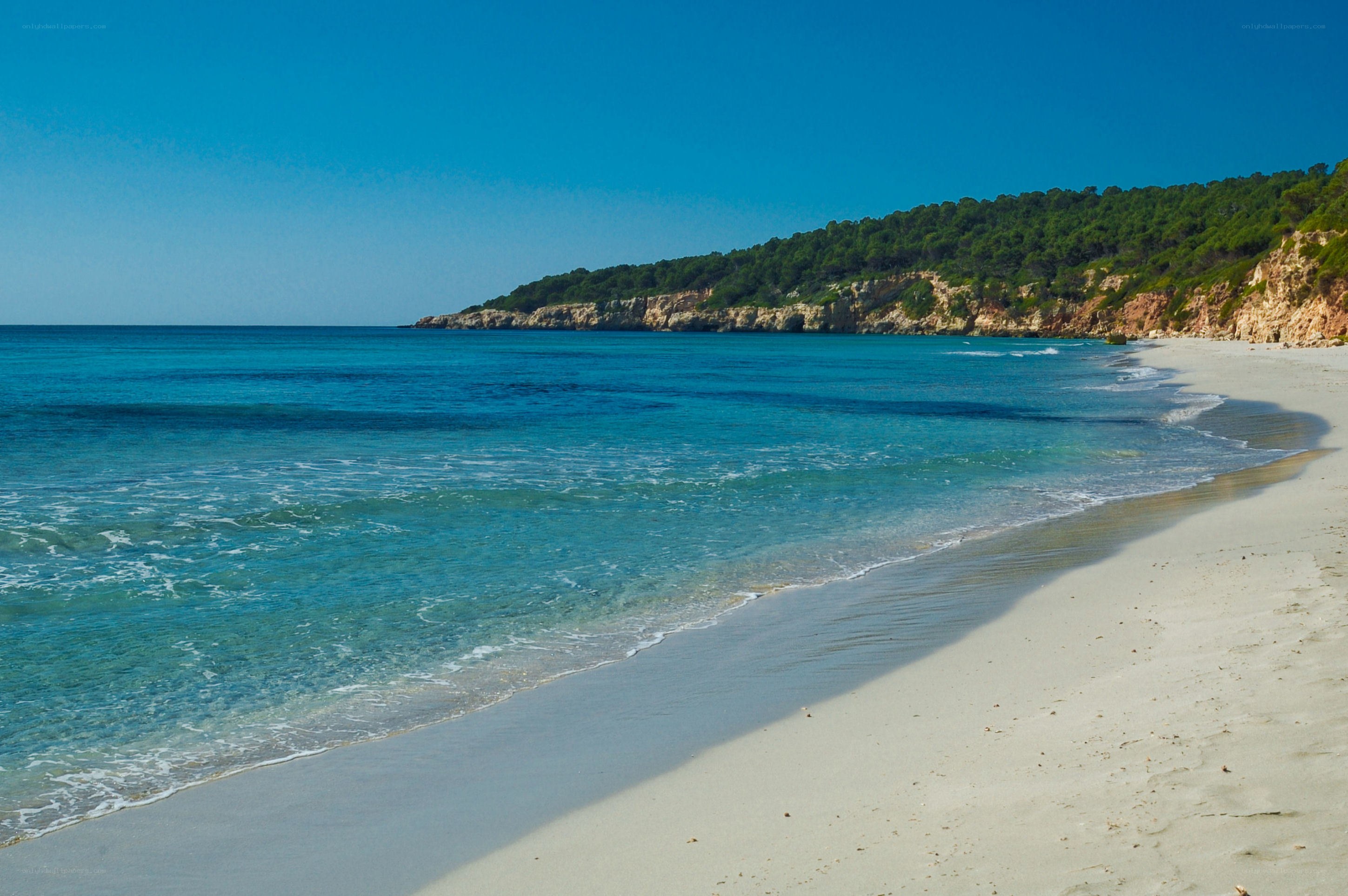 sandy beach with turquoise water