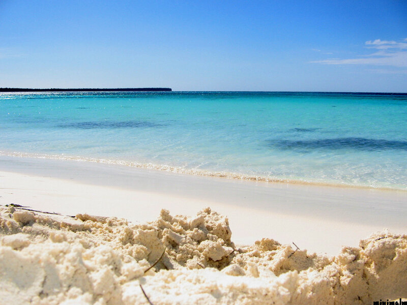 sandy beach with turquoise water