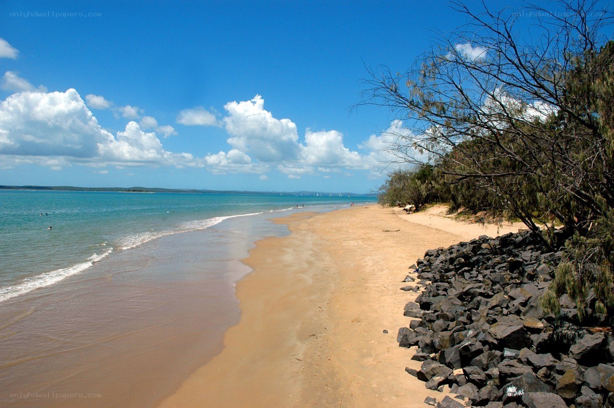 sandy beach with turquoise water