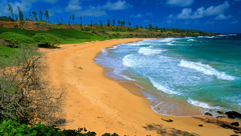 sandy beach with turquoise waves