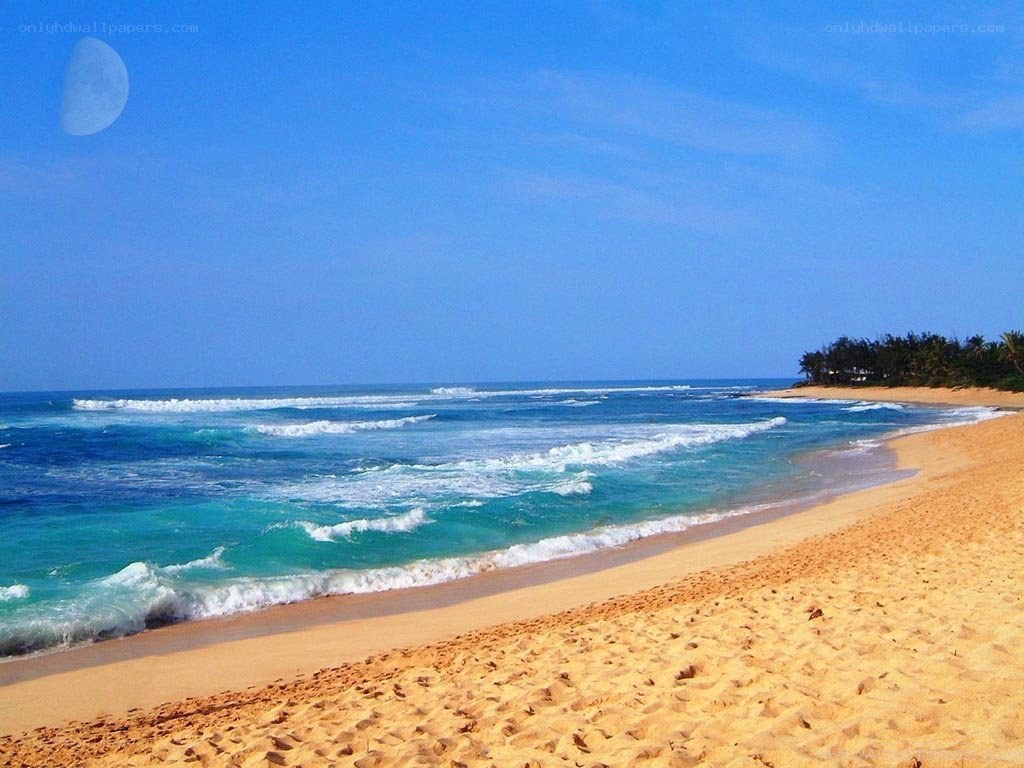 sandy beach with turquoise waves