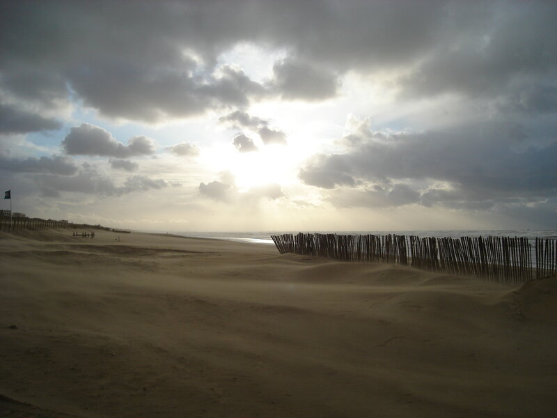 sandy beach with wooden fence