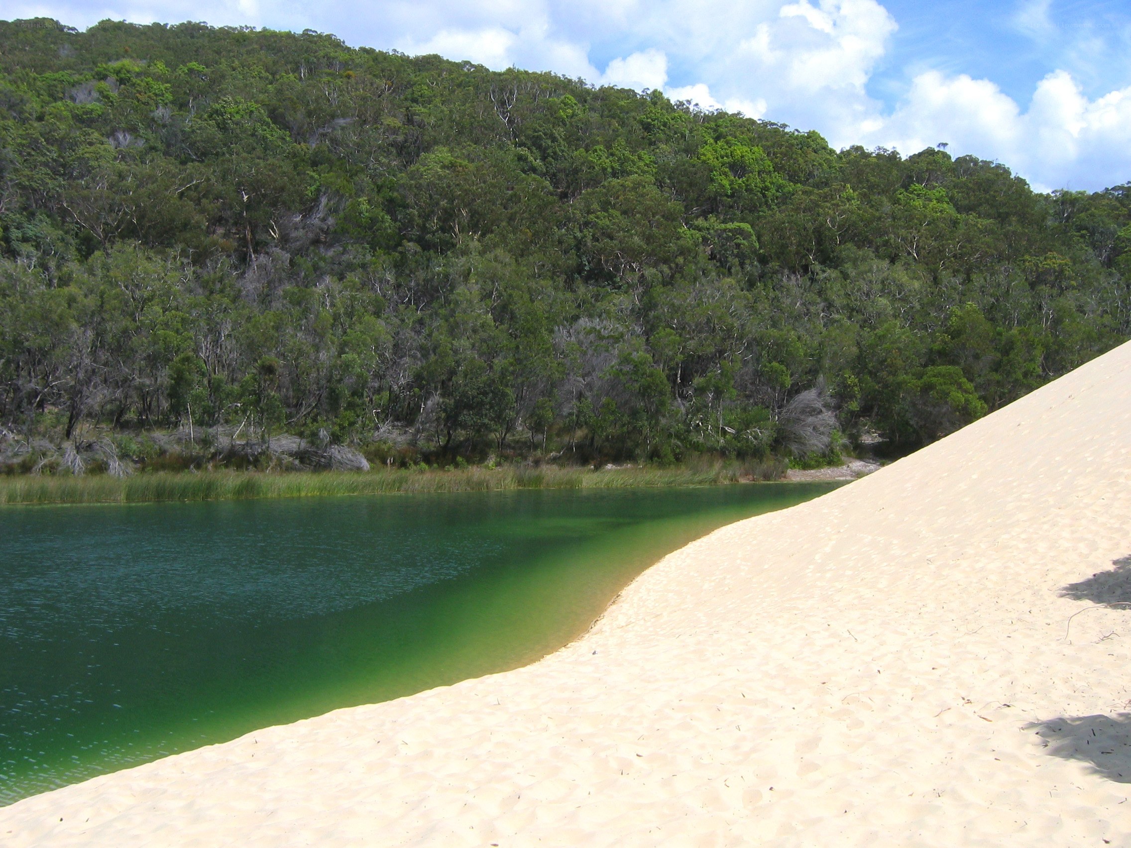 sandy dune beside green lake