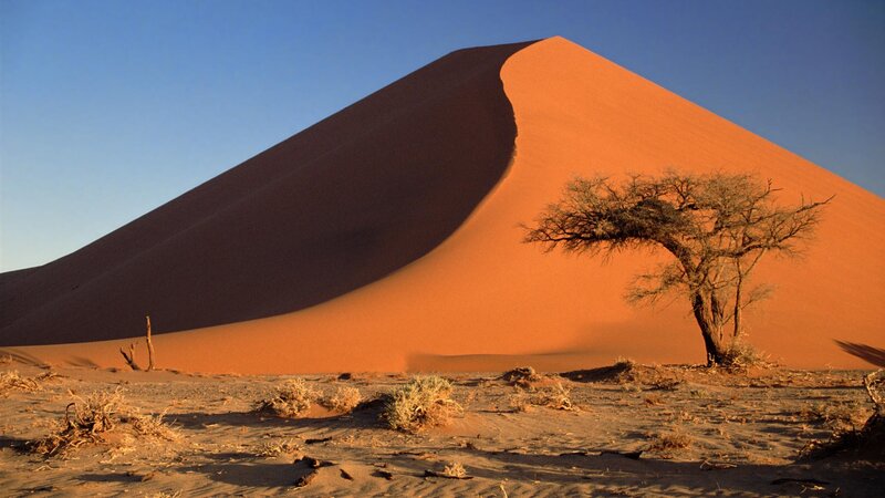 Sandy Dune with Tree — Orange, Serene, Sunset